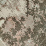 kordoba 1902 roze 3_resize